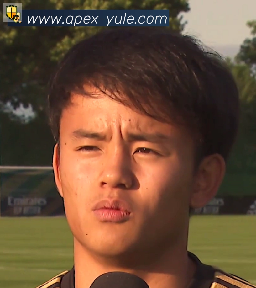 维尼修斯